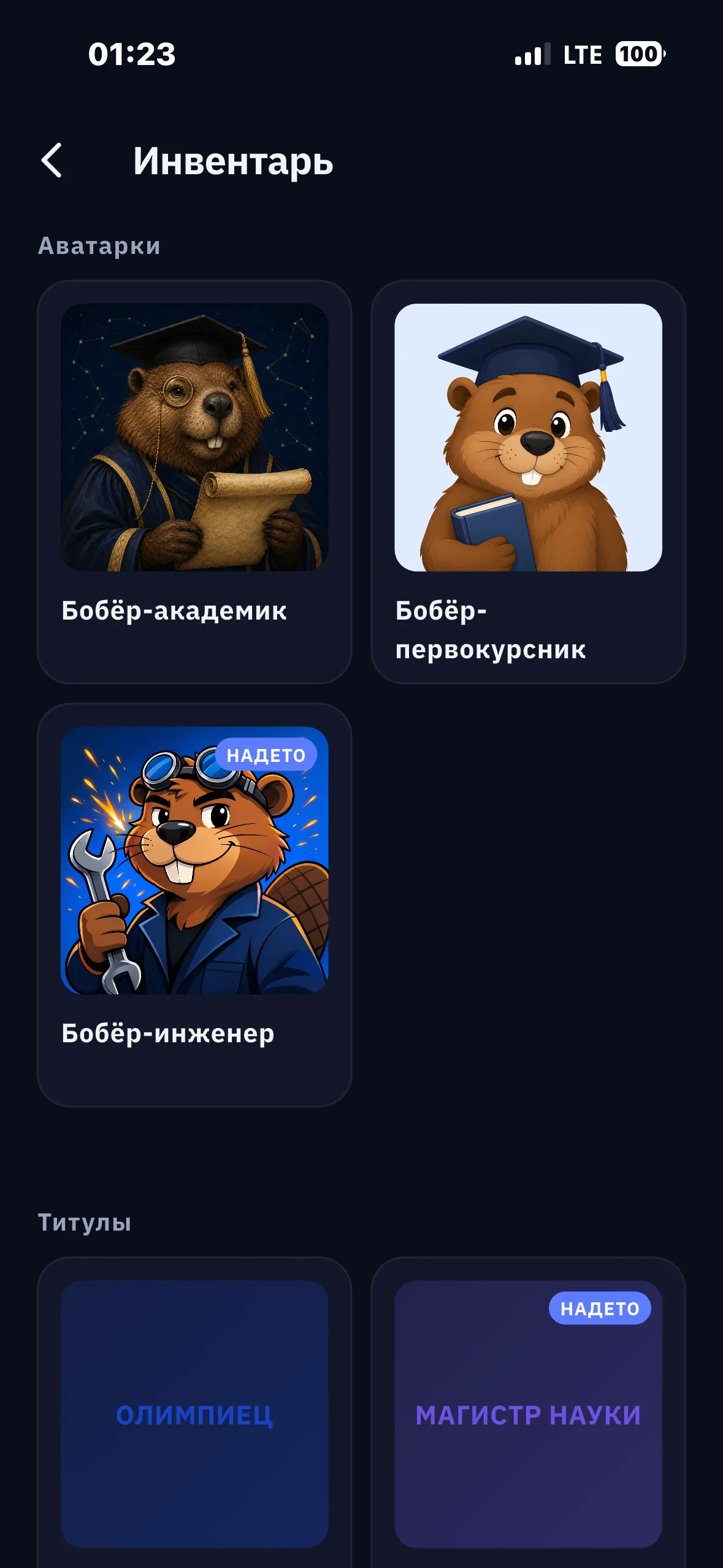 Инвентарь с надетыми предметами